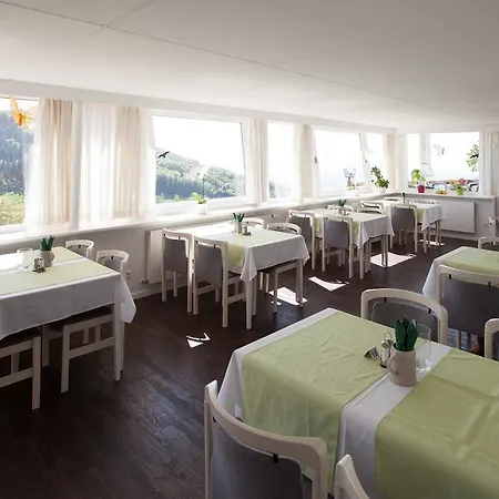Hotel Hotel-berggasthof Schwarzwaldperle *