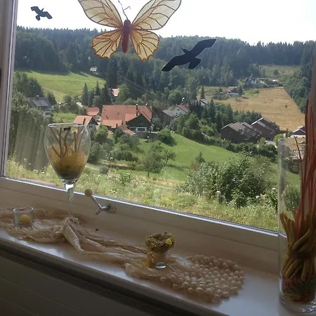 Hotel-berggasthof Schwarzwaldperle Засбахвальден