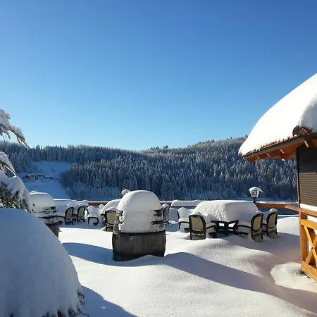 Hotel Hotel-berggasthof Schwarzwaldperle *
