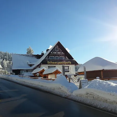Hotel-berggasthof Schwarzwaldperle Засбахвальден