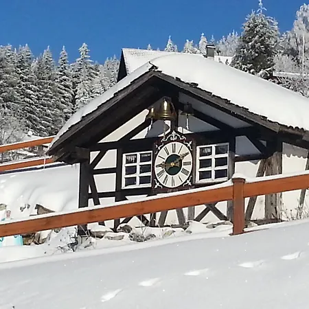 Отель Hotel-berggasthof Schwarzwaldperle *