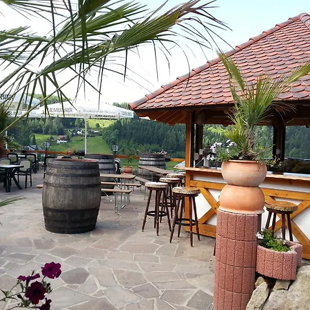 Hotel-berggasthof Schwarzwaldperle Засбахвальден