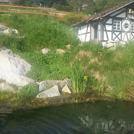 Hotel-berggasthof Schwarzwaldperle