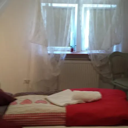 Hotel-berggasthof Schwarzwaldperle * 萨巴赫瓦登