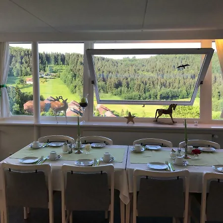 Hotel-berggasthof Schwarzwaldperle * Засбахвальден