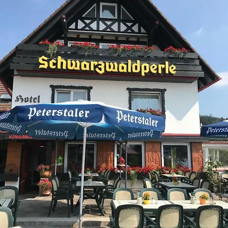 Отель Hotel-berggasthof Schwarzwaldperle Засбахвальден