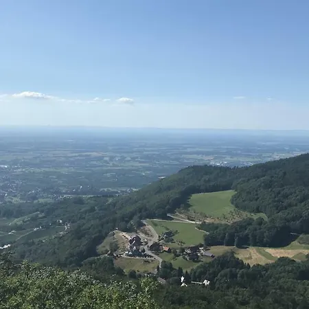 Отель Hotel-berggasthof Schwarzwaldperle