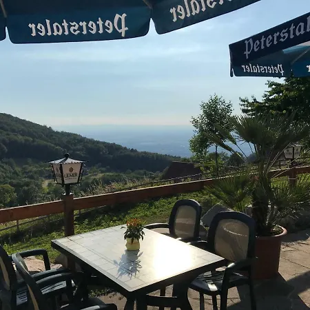 Hotel-berggasthof Schwarzwaldperle Засбахвальден